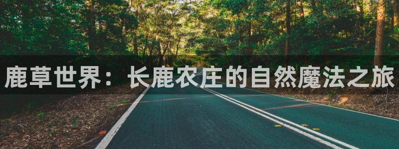 义务摩根娱乐会所电话