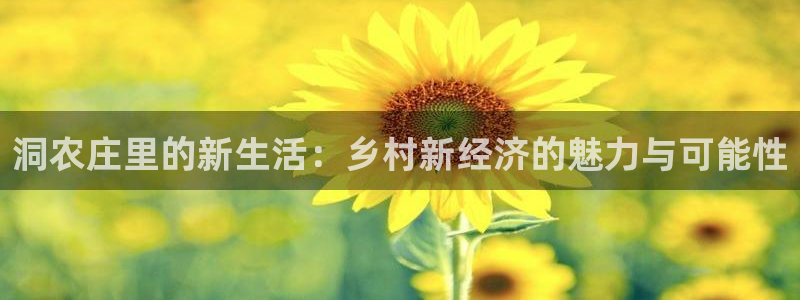 摩根娱乐宝。知道吗