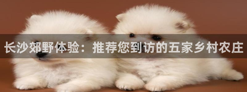 义乌摩根娱乐有限公司