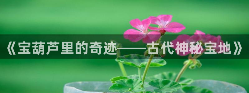 武汉摩根众睿娱乐