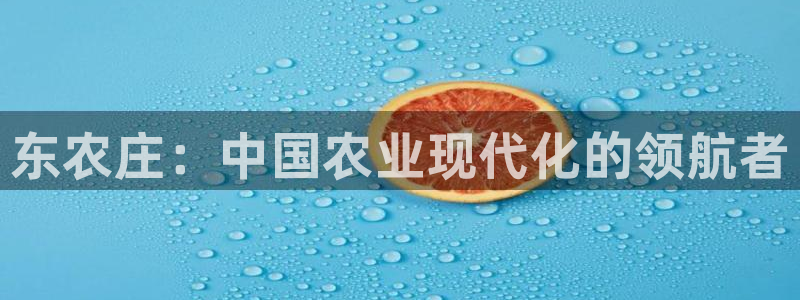 摩根娱乐包是什么