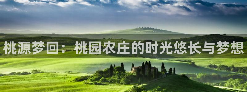 摩根娱乐包是什么