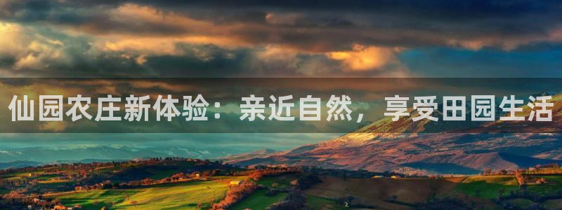 摩根娱乐宝合法吗