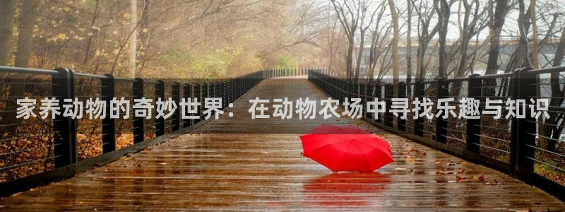 白宫摩根娱乐地址