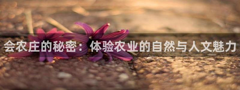 摩根大通黄金娱乐目标价