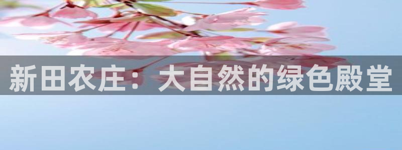 摩根士丹利娱乐银行