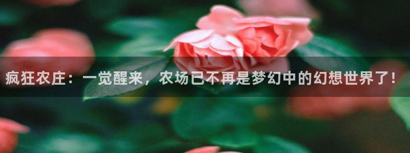 摩根娱乐宝微信客服