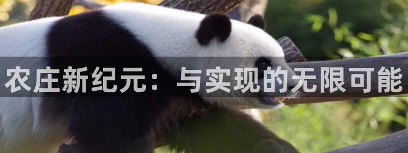 摩根娱乐宝官网下载