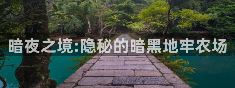 摩根国际娱乐宝官网