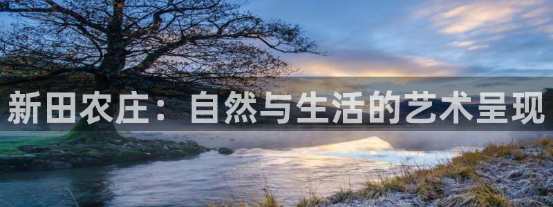 摩根大通旗下娱乐公司