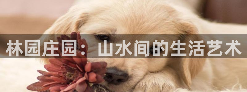 义乌市摩根娱乐会所招聘