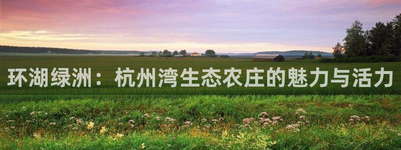 摩根大通收购娱乐公司