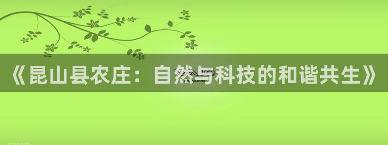 海贼王之娱乐摩根斯