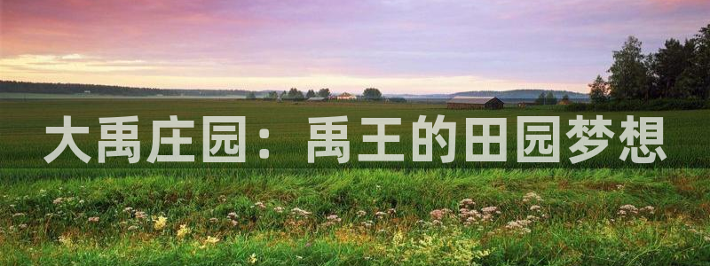 摩根娱乐50186找