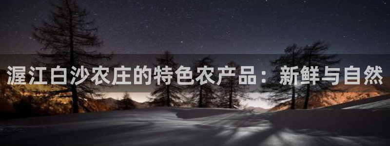 摩根国际娱乐宝