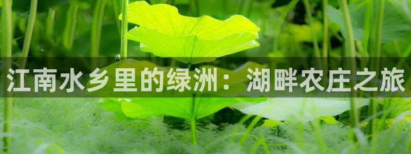 摩根士丹利娱乐银行