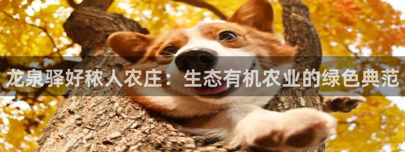 摩根娱乐注册m总管