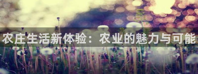 摩根娱乐宝骗了多少人