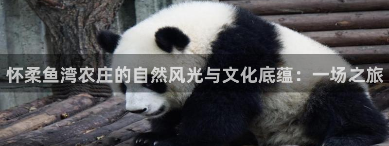 厦门摩根会娱乐