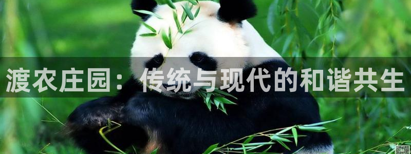 摩根娱乐1老o板50820