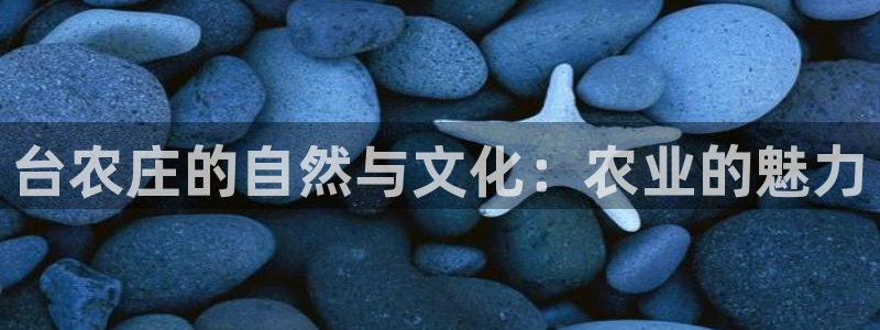 摩根娱乐公会创始人