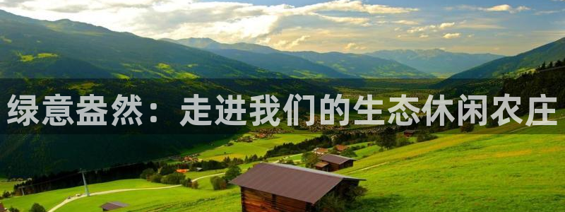 摩根娱乐信益怎么样