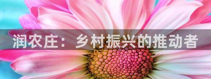 摩根娱乐宝登陆网址