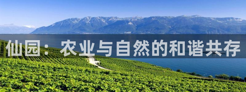 摩根娱乐信益怎么样