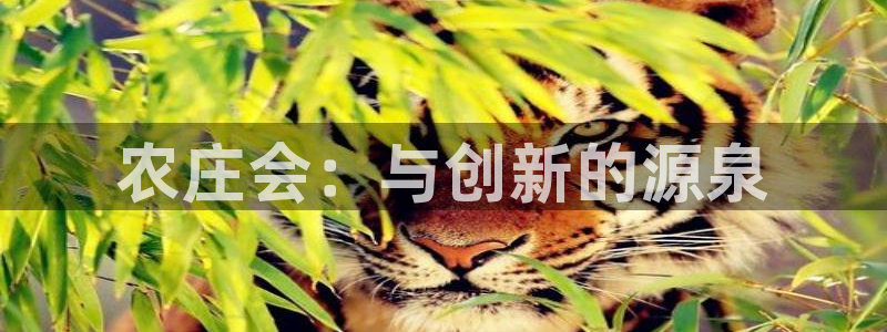 摩根大通会员买金沙娱乐