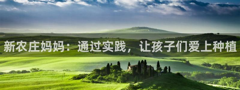 摩根国际娱乐宝书籍