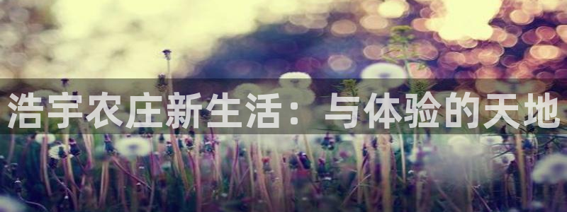 义乌摩根娱乐会所怎么样