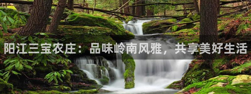 摩根娱乐宝登陆网址