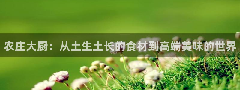 摩根国际商务娱乐会所