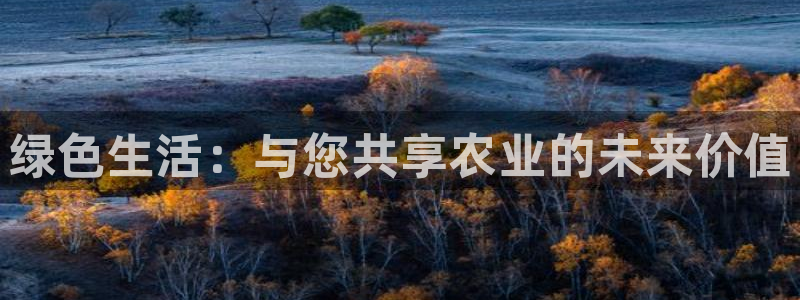 摩根娱乐宝招商