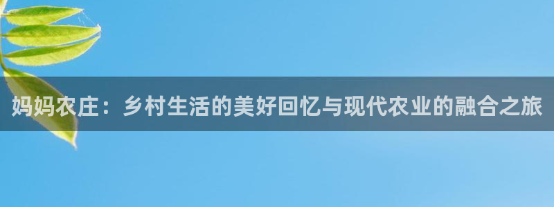 摩根说娱乐