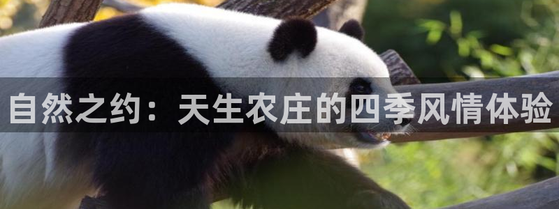 摩根娱乐宝怎样拉下线