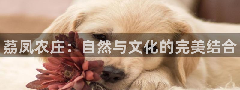 泉州白宫摩根娱乐会所