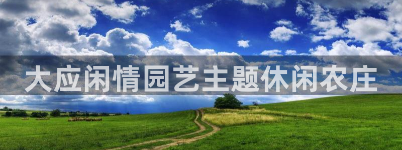 香港摩根娱乐