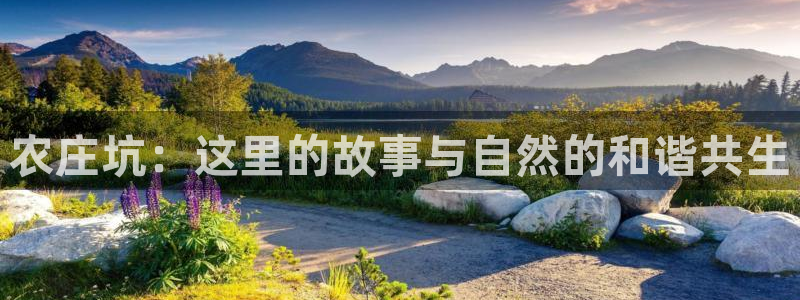 摩根国际娱乐宝