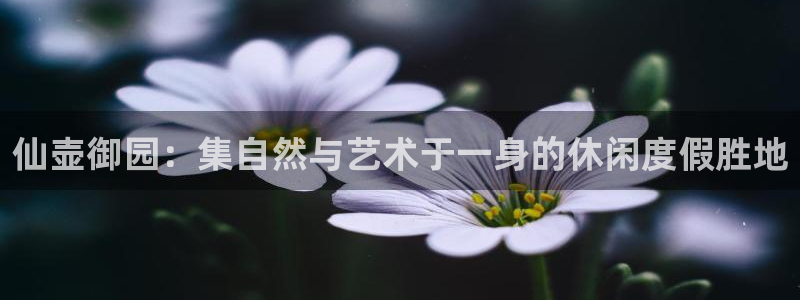 海贼王之娱乐摩根斯