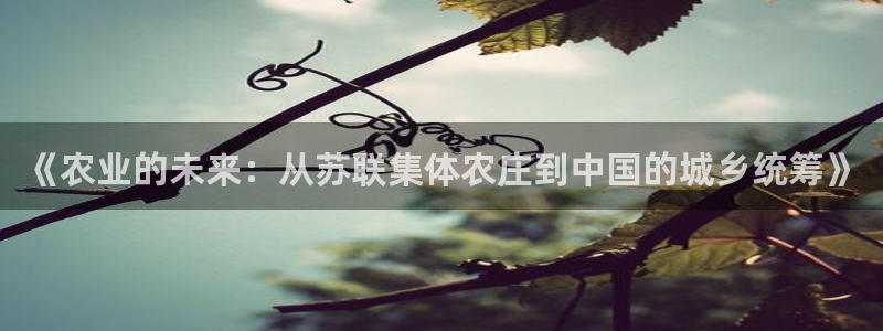 摩根空间附近休闲娱乐