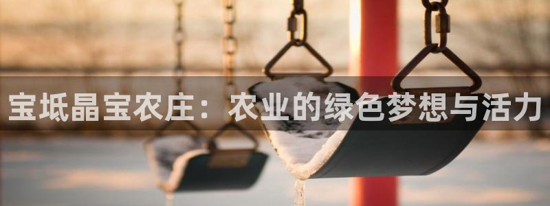 摩根国际娱乐