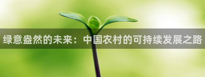 摩根国际娱乐宝书籍