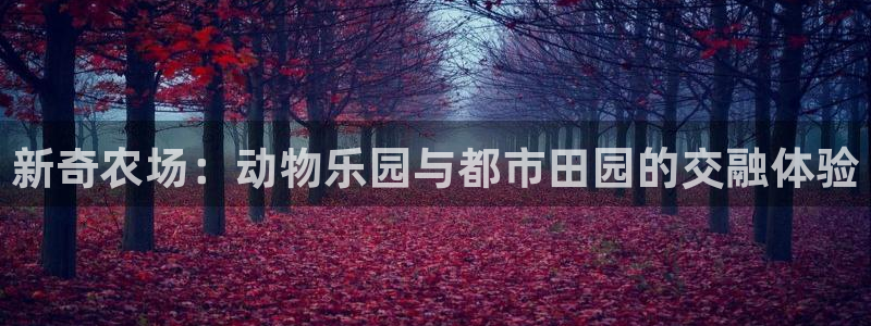 摩根娱乐宝怎么赚钱
