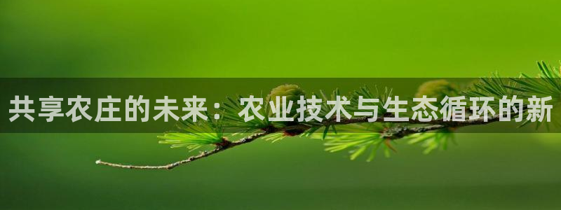 厦门摩根会娱乐