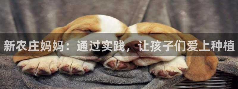 摩根娱乐公司
