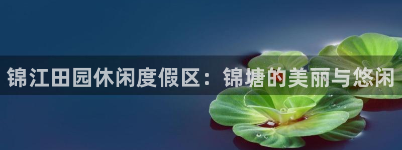摩根娱乐宝老上不去啊